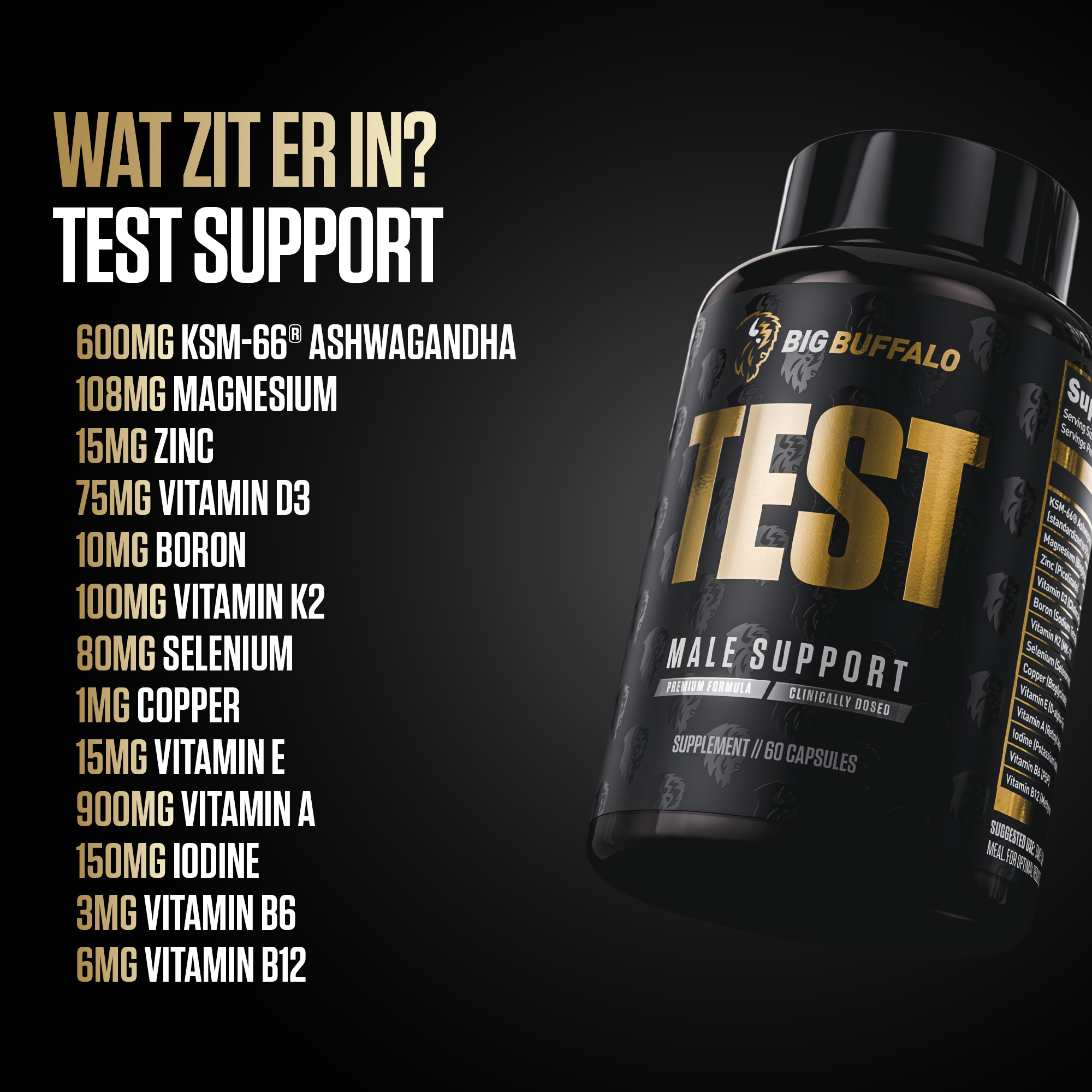 Test Support